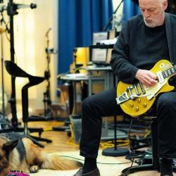 Foto de David Gilmour