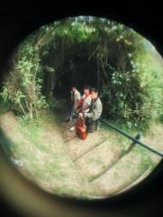 Amados
