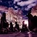 NEO JAPONISM