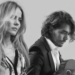 Photo of The Common Linnets