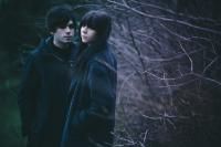 The KVB