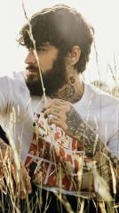 ZAYN