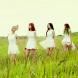 Skarf