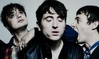 Babyshambles