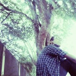 Foto de Alexandry Peixotto