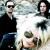 The Dead Weather