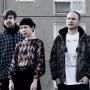 Little Dragon