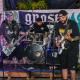 Gnose HC