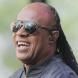 Stevie Wonder