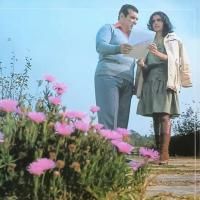 Luiz de Carvalho e Denise