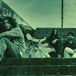 Foto de Bedtrip