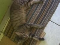 Mithisy Tiby