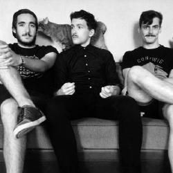 Foto de Birds In Row