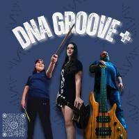 DNA GROOVE