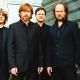 Phish