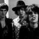 The Struts