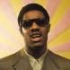 Stevie Wonder