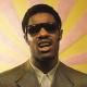 Stevie Wonder