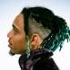 Skunk