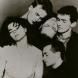 Sugarcubes