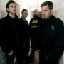 Cattle Decapitation