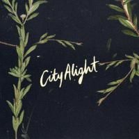 The Night Song (feat. Colin Buchanan)