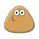 Pou