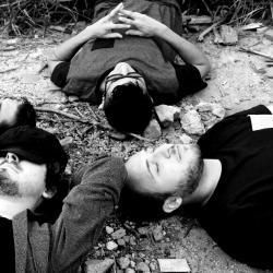 Foto de A Corte Animal