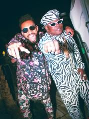 Tribu Stars