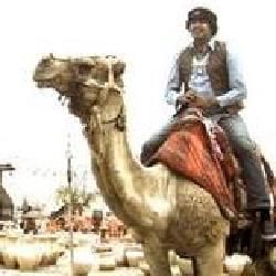 Foto de The King Khan & BBQ Show