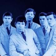 The Animals