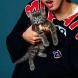 Stray Kids