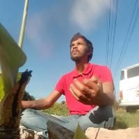 Tuas Asas