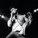 Morrissey