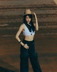 Jellyfish (해파리)