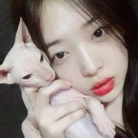 Goblin (고블린)