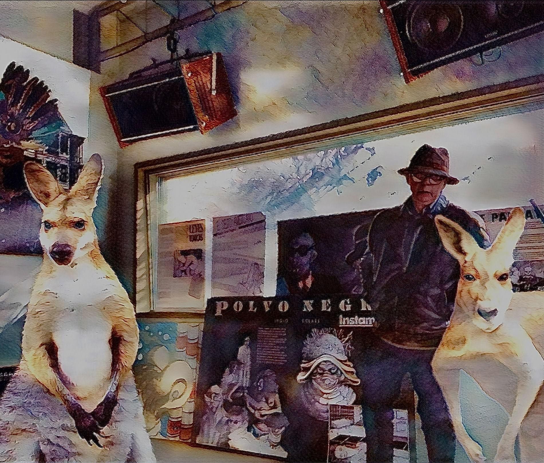 El Mister y los Marsupiales Extintos