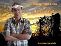 Gonzaguinha Filho e Banda