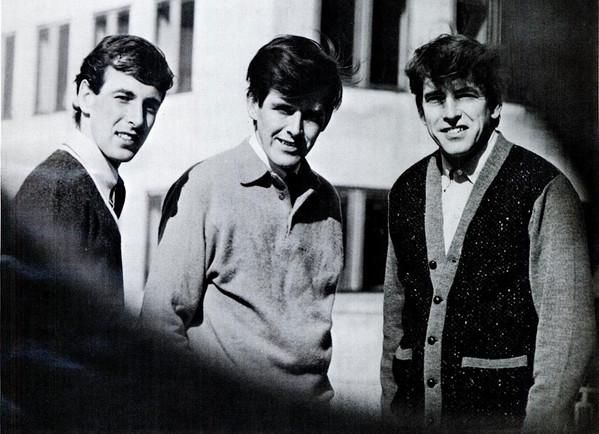 The Bachelors