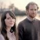 The Finches