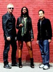 The Yellow Brick Road