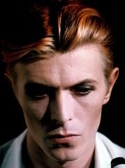 The Secret Life of Arabia