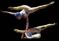 Cirque Du Soleil