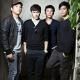 Callalily