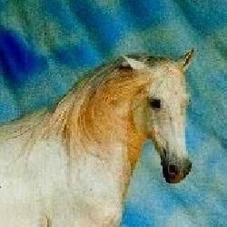 Foto de O Sonho do Cowboy