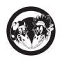 Black Crowes