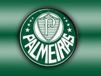 Eu Sou Palmeiras Sim Senhor