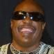 Stevie Wonder