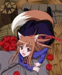 Spice And Wolf (anime)