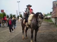 Tiro de Laço